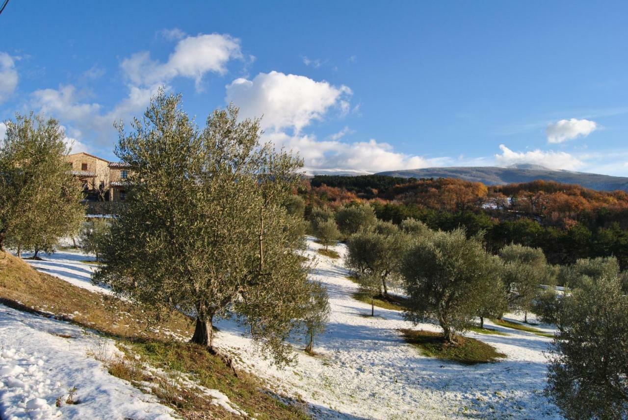 Villa Casa Fioranna Seggiano Exterior foto