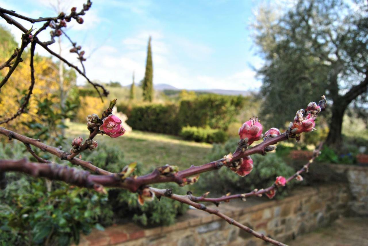 Villa Casa Fioranna Seggiano Exterior foto
